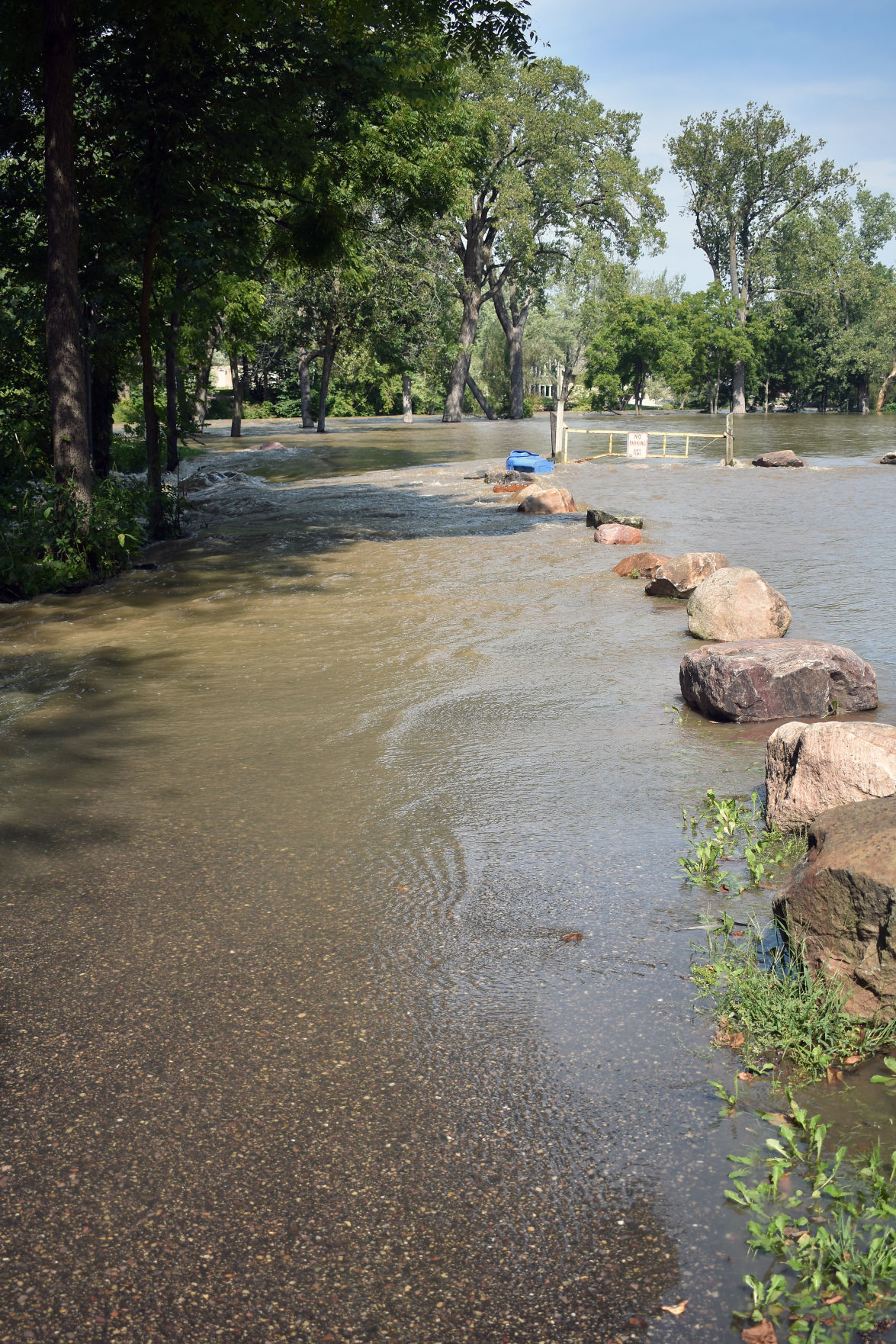 Lower Ochsner Park